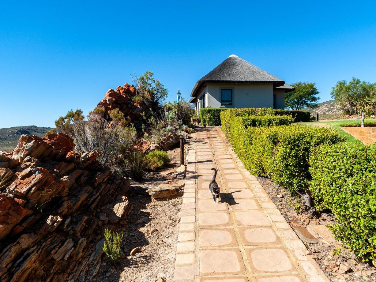 Rooilande Guest Farm Guest House Laingsburg ภายนอก รูปภาพ